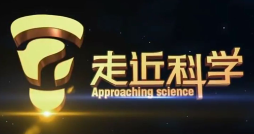 水果派av